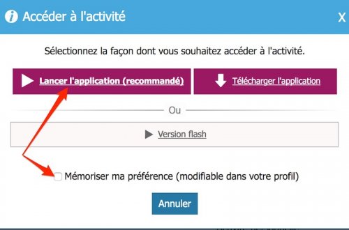 capture d'écran montrant comment lancer l'application