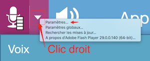 capture d'écran montrant le clic droit à effectuer sur le micro