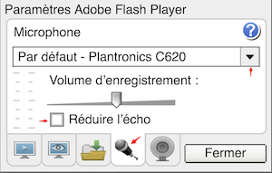 capture d'écran montrant les réglages du micro dans Adobe Flash Player