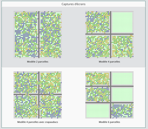 Capture de 4 modélisations avec une fragmentation différente du terrain.