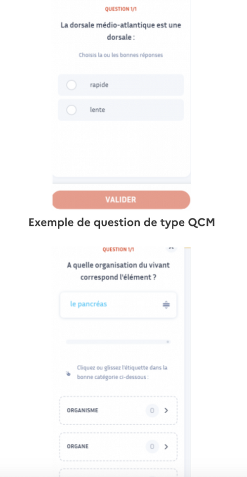 Deux exemples de questions : QCM et ordonnancement